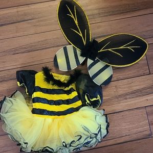Bee costume